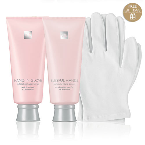 Hands Gift with Free Gloves