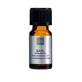 Basil Oil 
